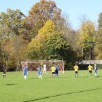 15. Spieltag: TSV Altenmarkt - TSV Reischach 2019-2020